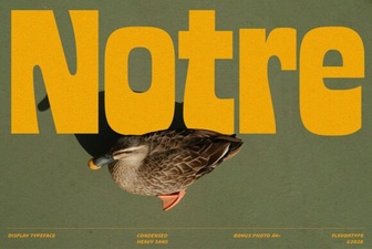 Notre Font: a Creative Boost for Your Designs